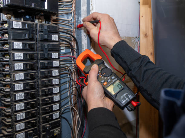 Best Electric Panel Repair  in Herricks, NY